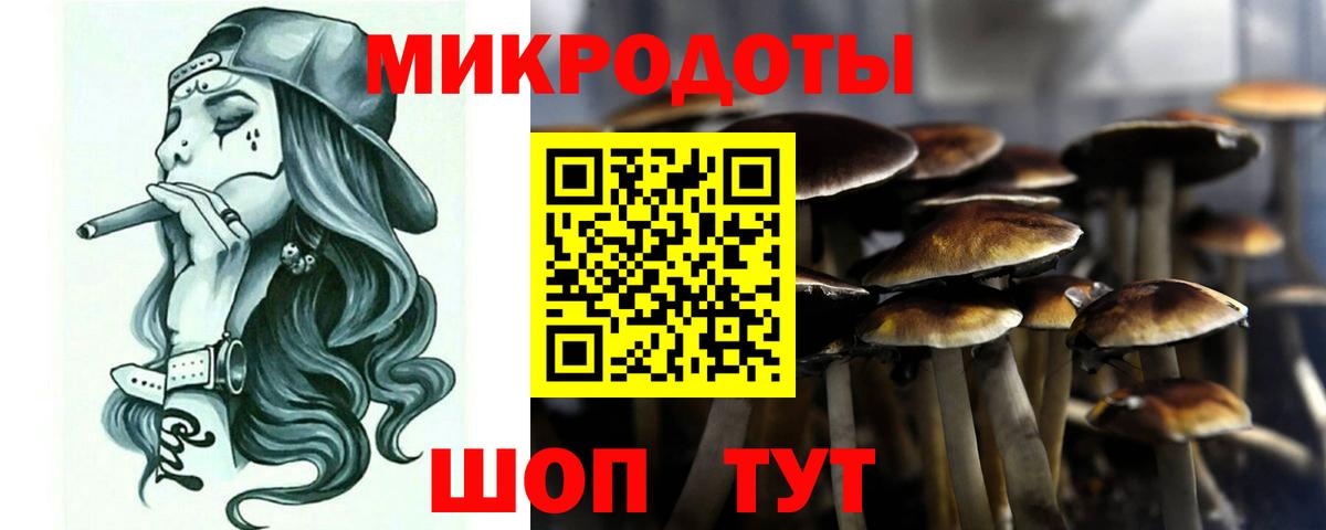 Галлюциногенные грибы ЛСД  купить закладку  Курчатов  Псилоцибиновые грибы GOLDEN TEACHER  Вход с VPN 
